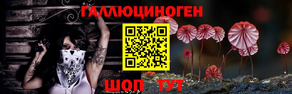 Галлюциногенные грибы Psilocybe  Вход с VPN  Гусиноозёрск 